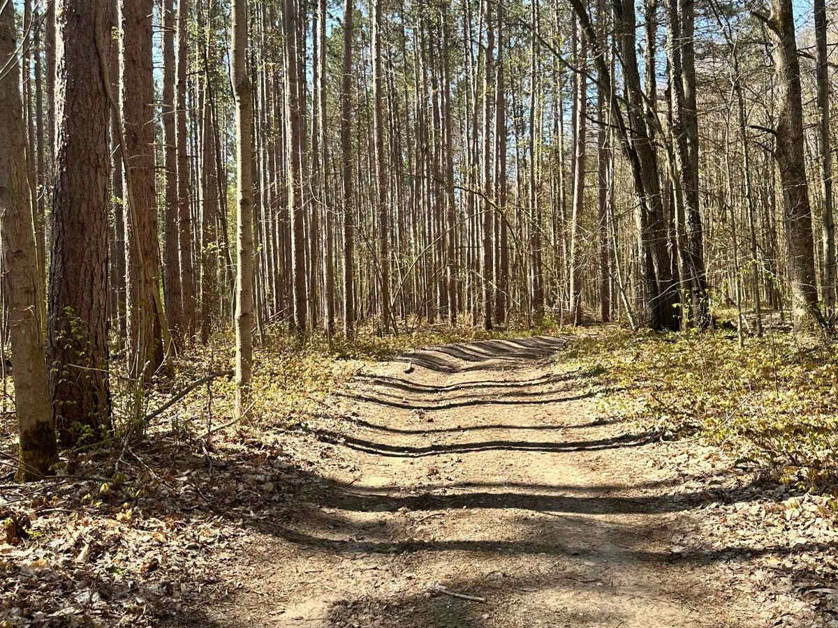 Cadillac Area ORV/OHV Scenic Ride - Part 13 trail photo