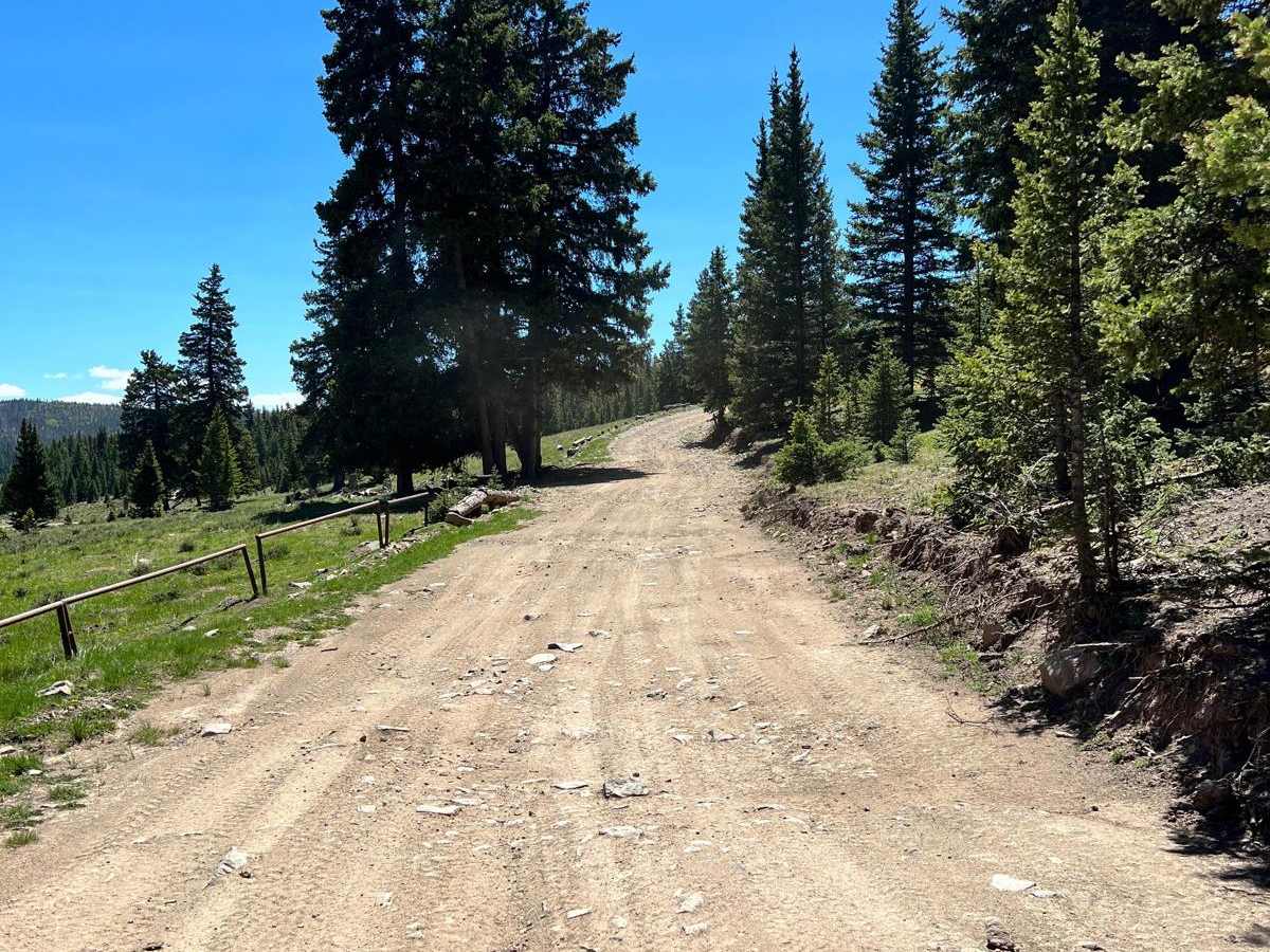 Greenie Peak via Cabresto Canyon - FS 54 trail photo