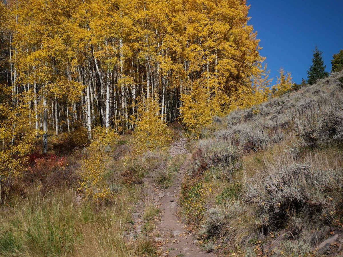 Middle Barrett ATV Trail trail photo
