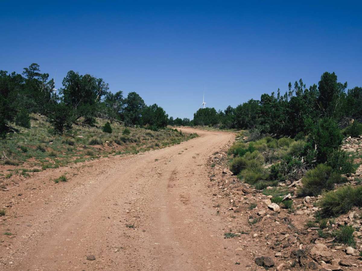 Pasture Pass photo 5