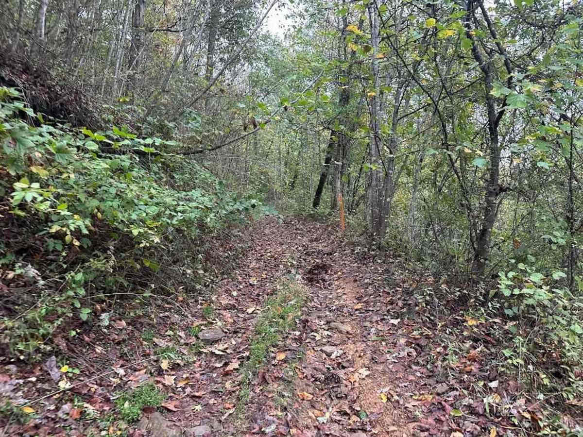 14 Green trail photo