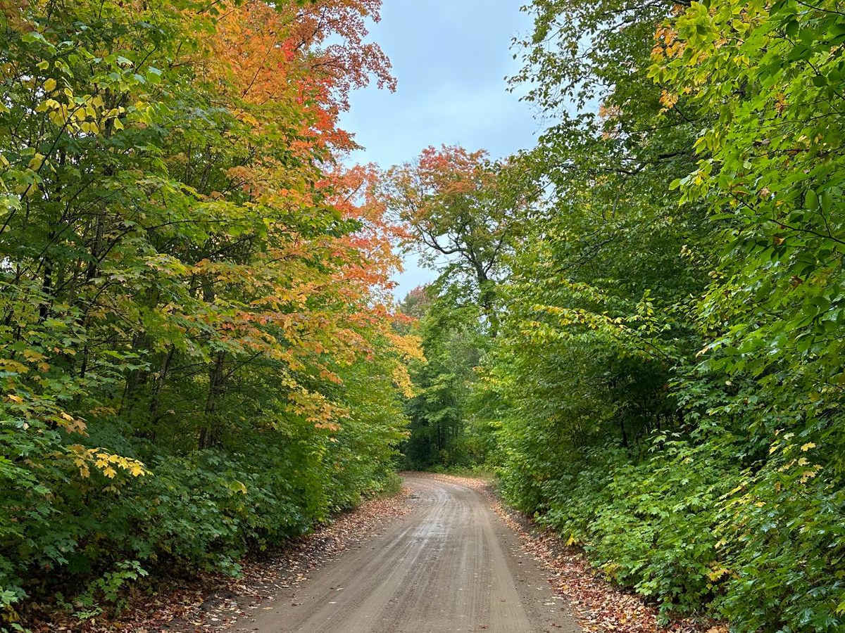 Sucker River Road trail photo