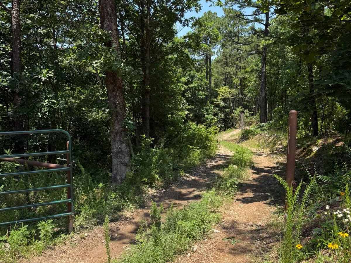 Casen's Trail photo 5