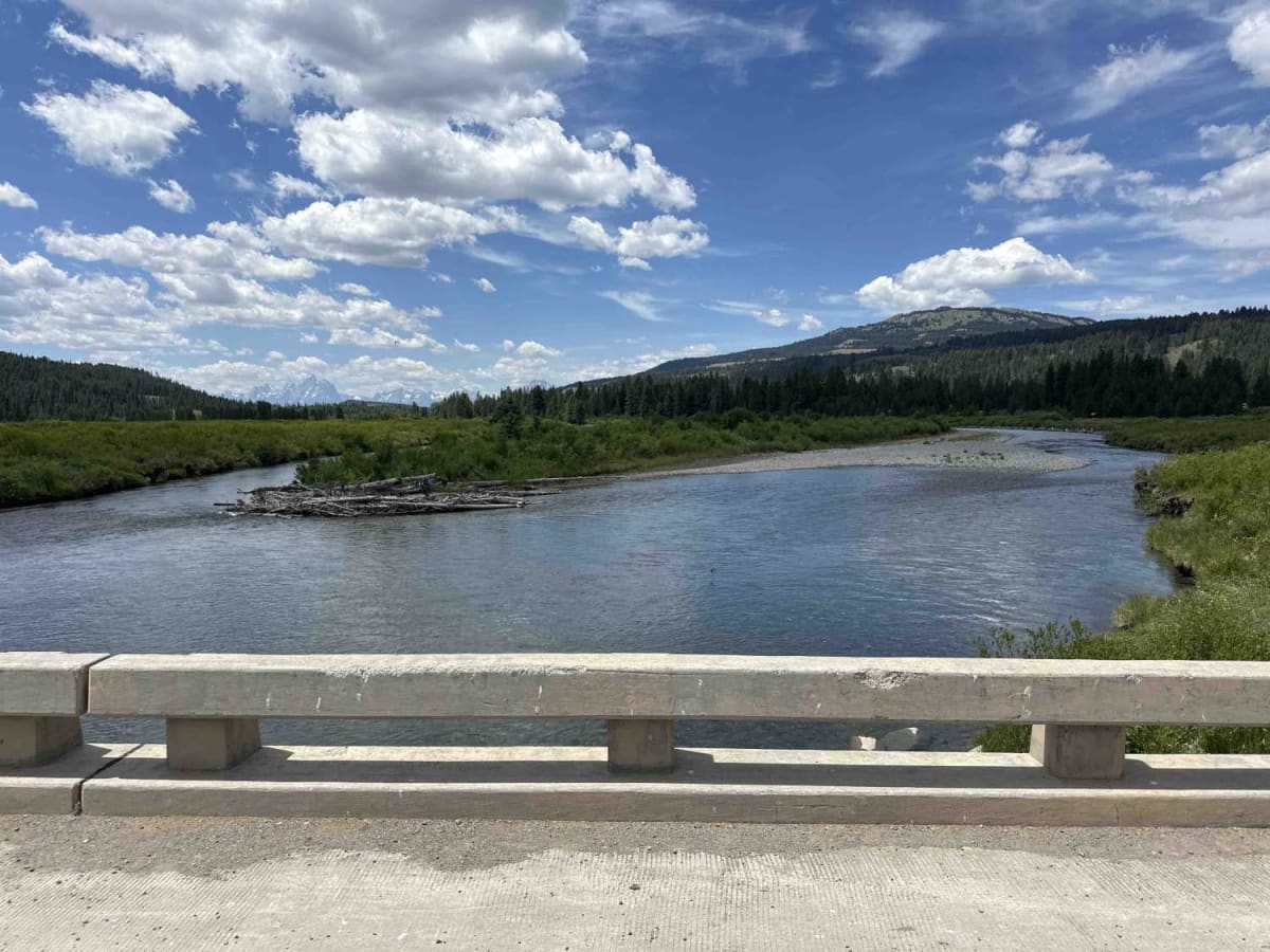 Fourmile Meadow photo 3
