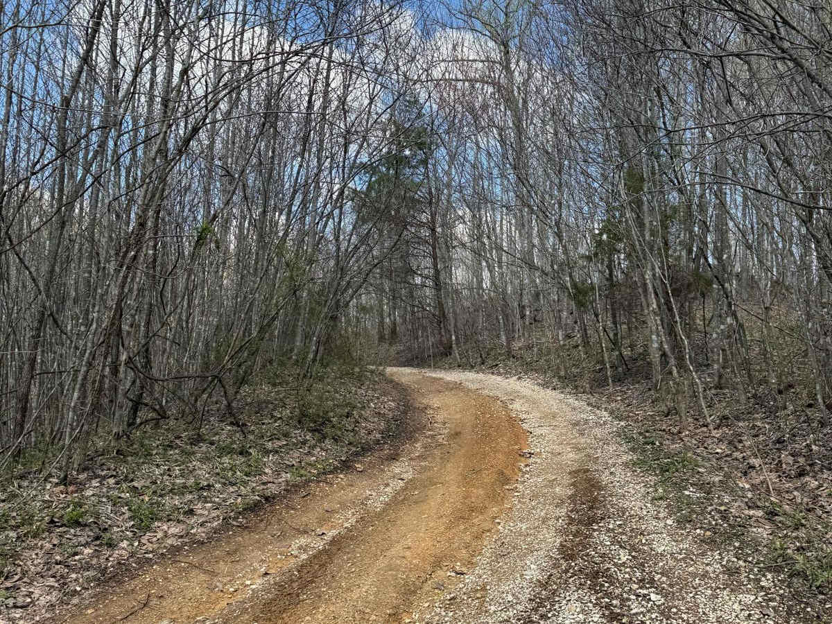 Trail 29 trail photo