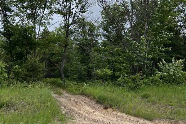 Big Wolf to Townline
