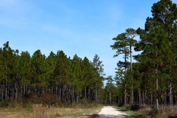 Little Hellhole Bay - FSR 158