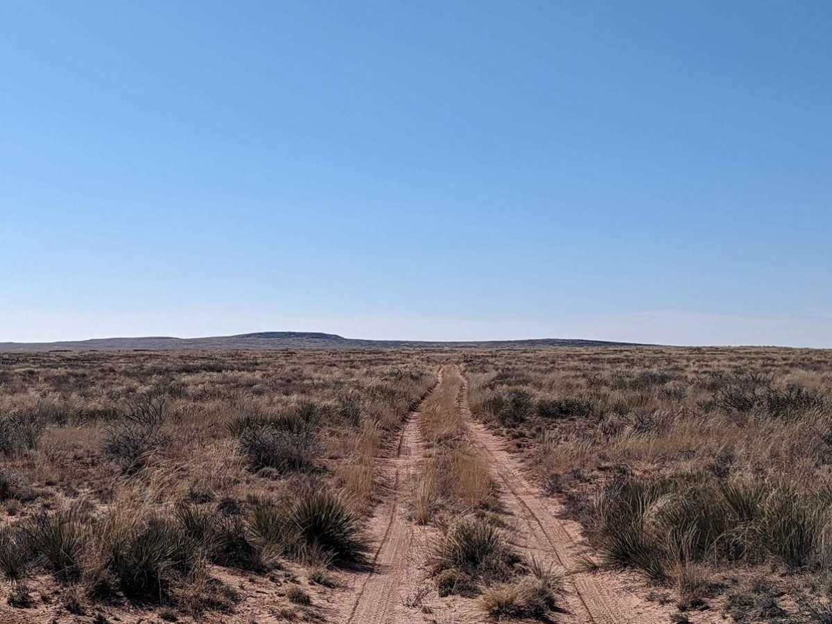 Billy the Kid Loop photo 2