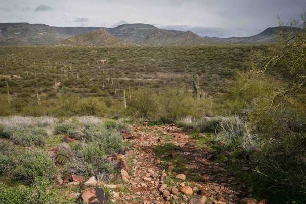 Shoemaker Spring Access Trail
