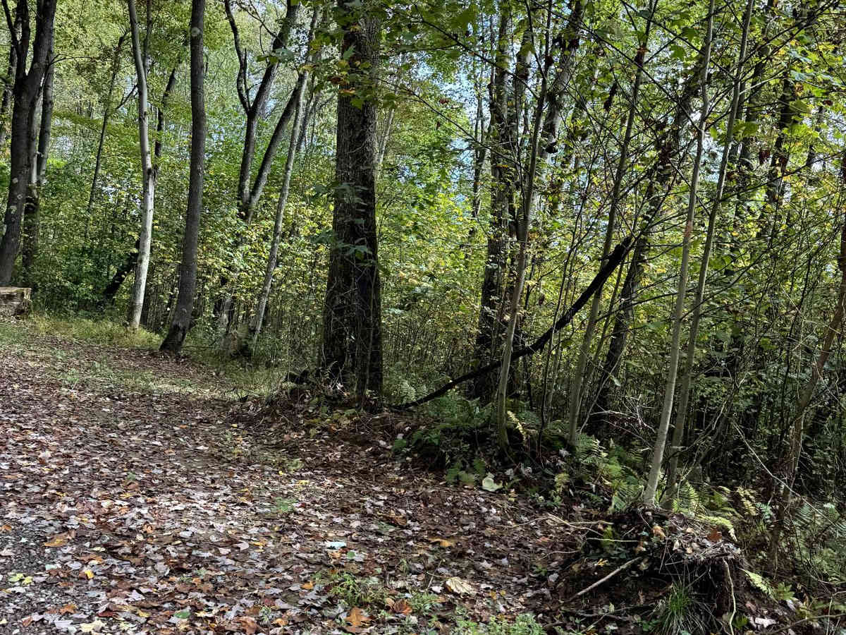 Sugarloaf to Flat Rock Trail photo 4