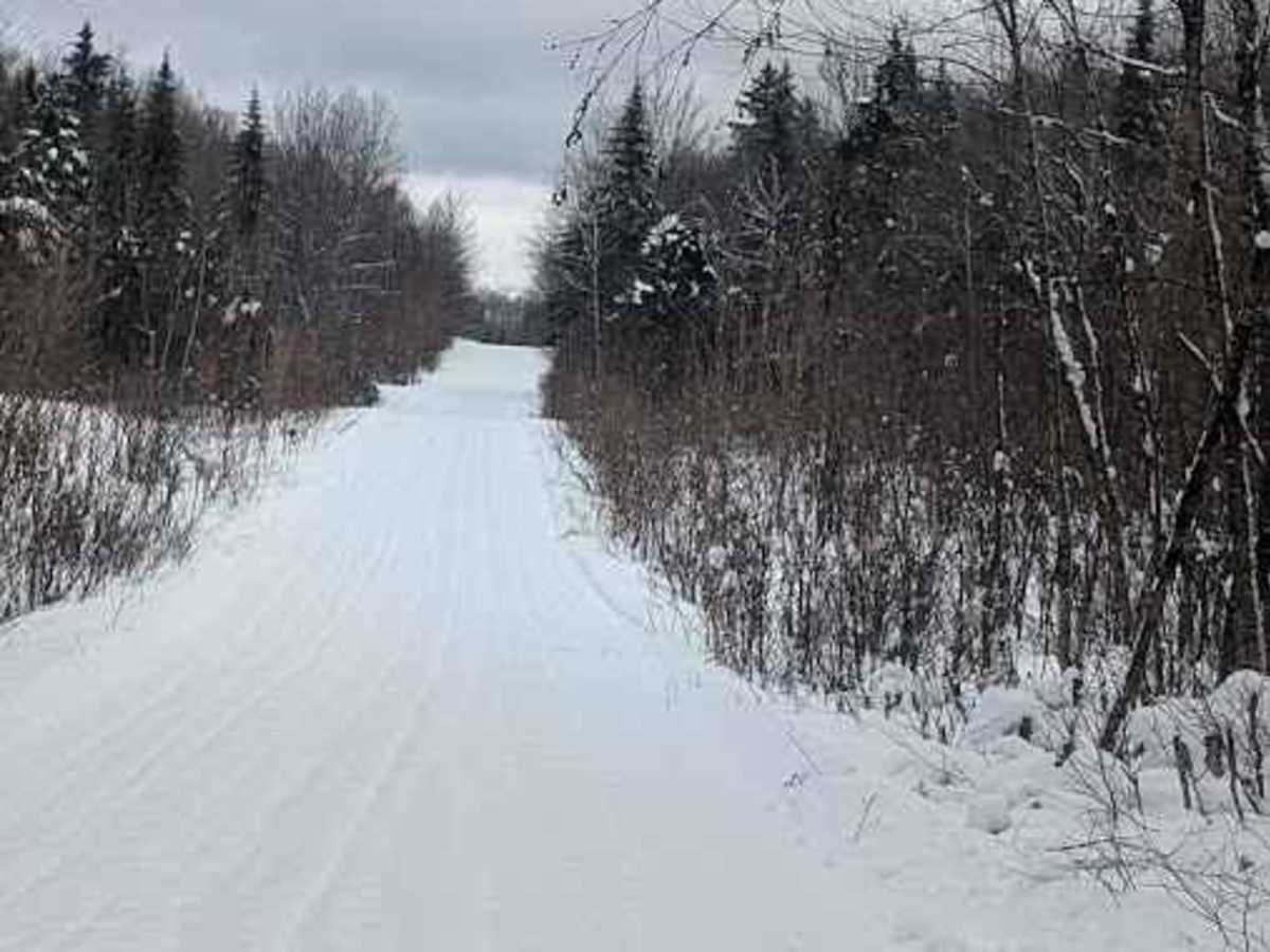 Little Owl Lake Trail trail photo
