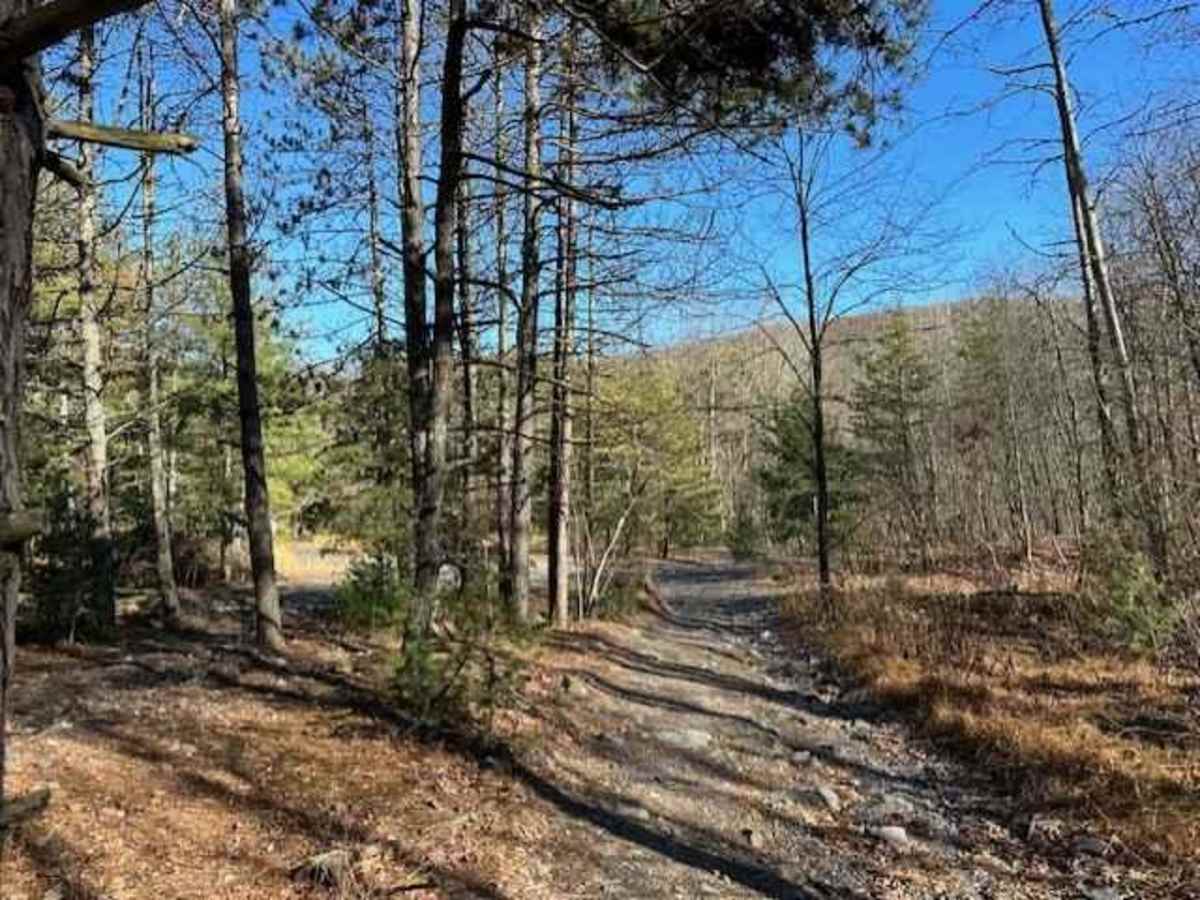 Darkwater 2 trail photo