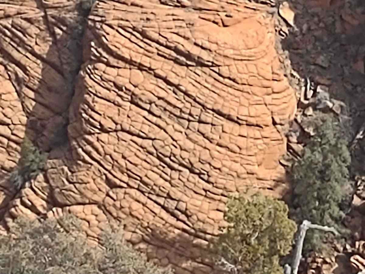 Leeds-Cottonwood Elephant Skin Canyon trail photo