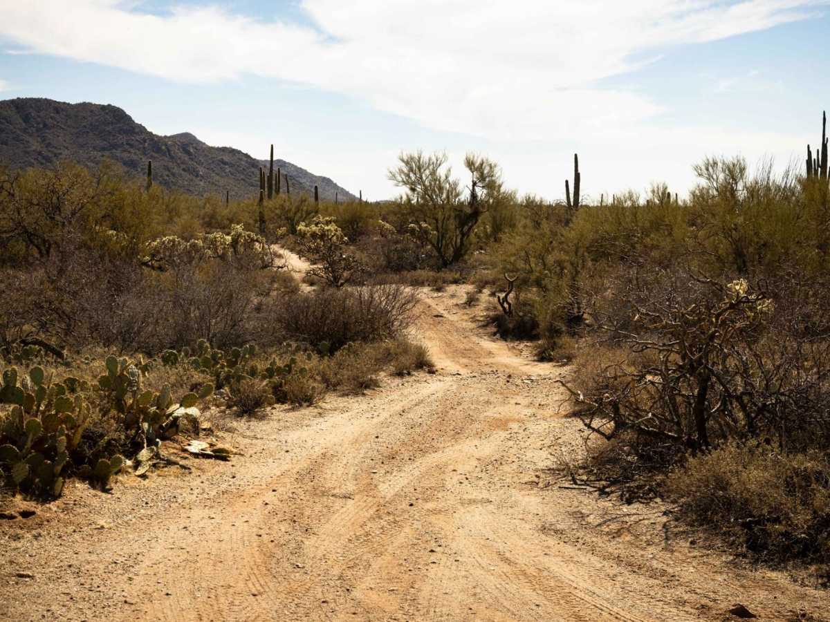Ditch Trail trail photo