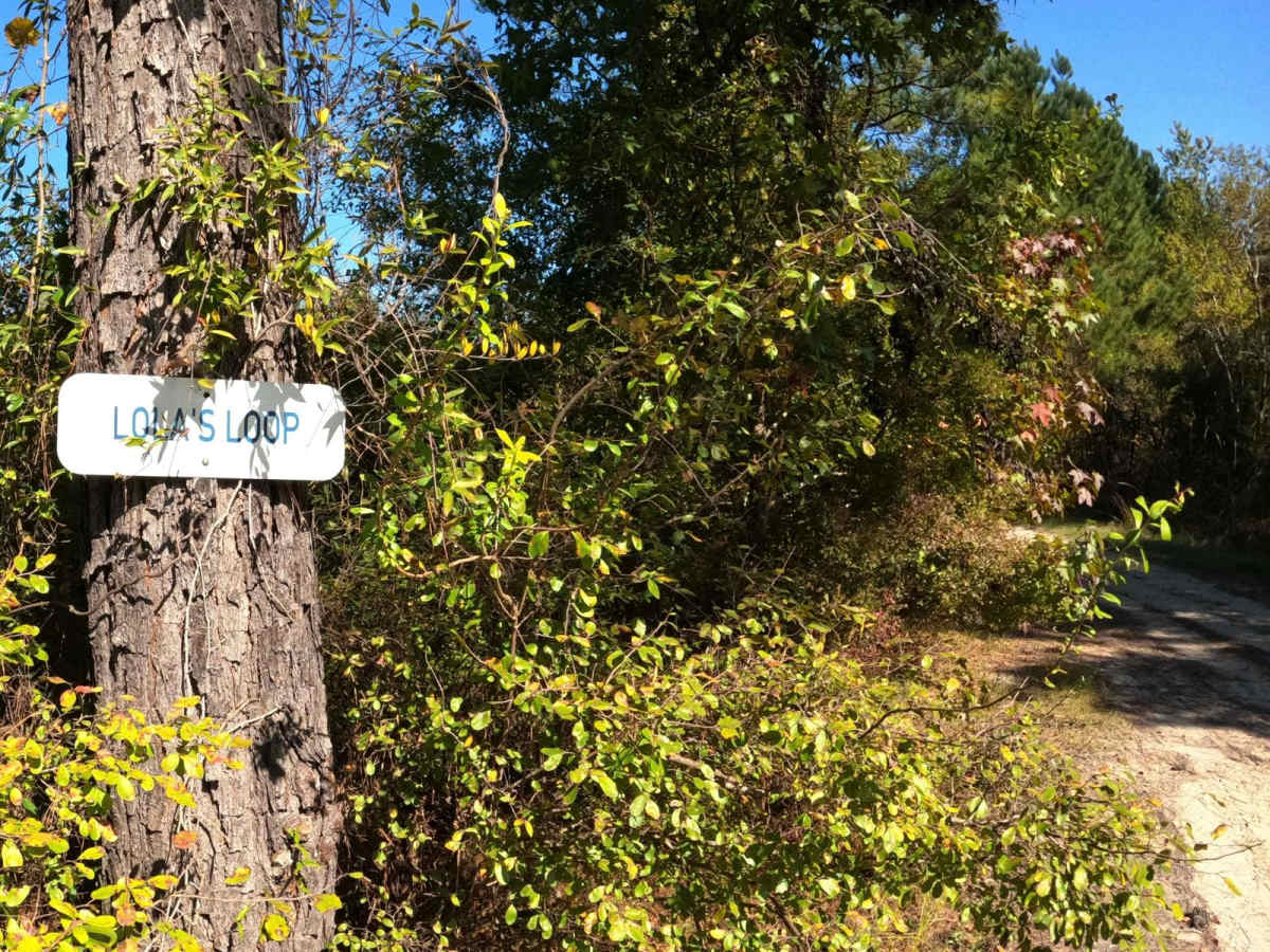 Lola's Loop trail photo