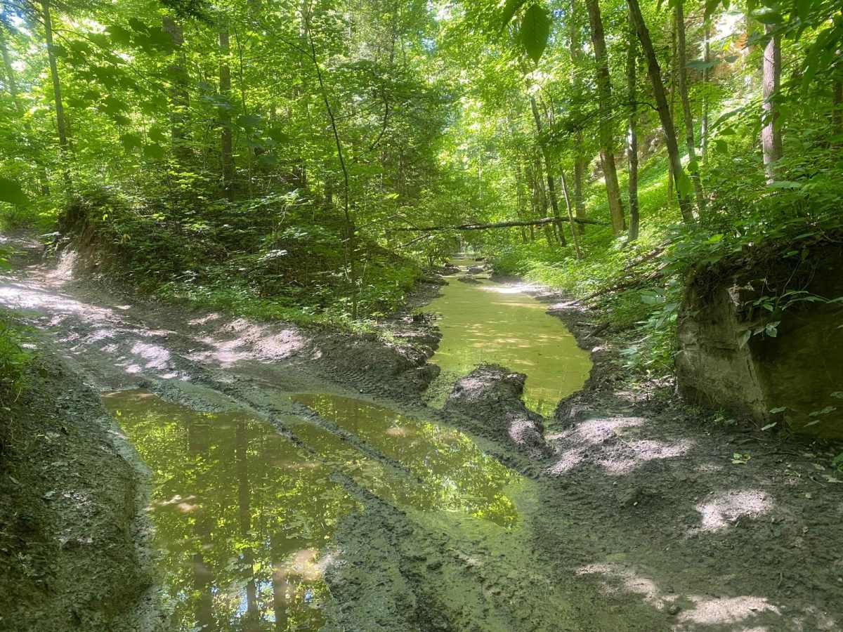 Trail 1 photo 4