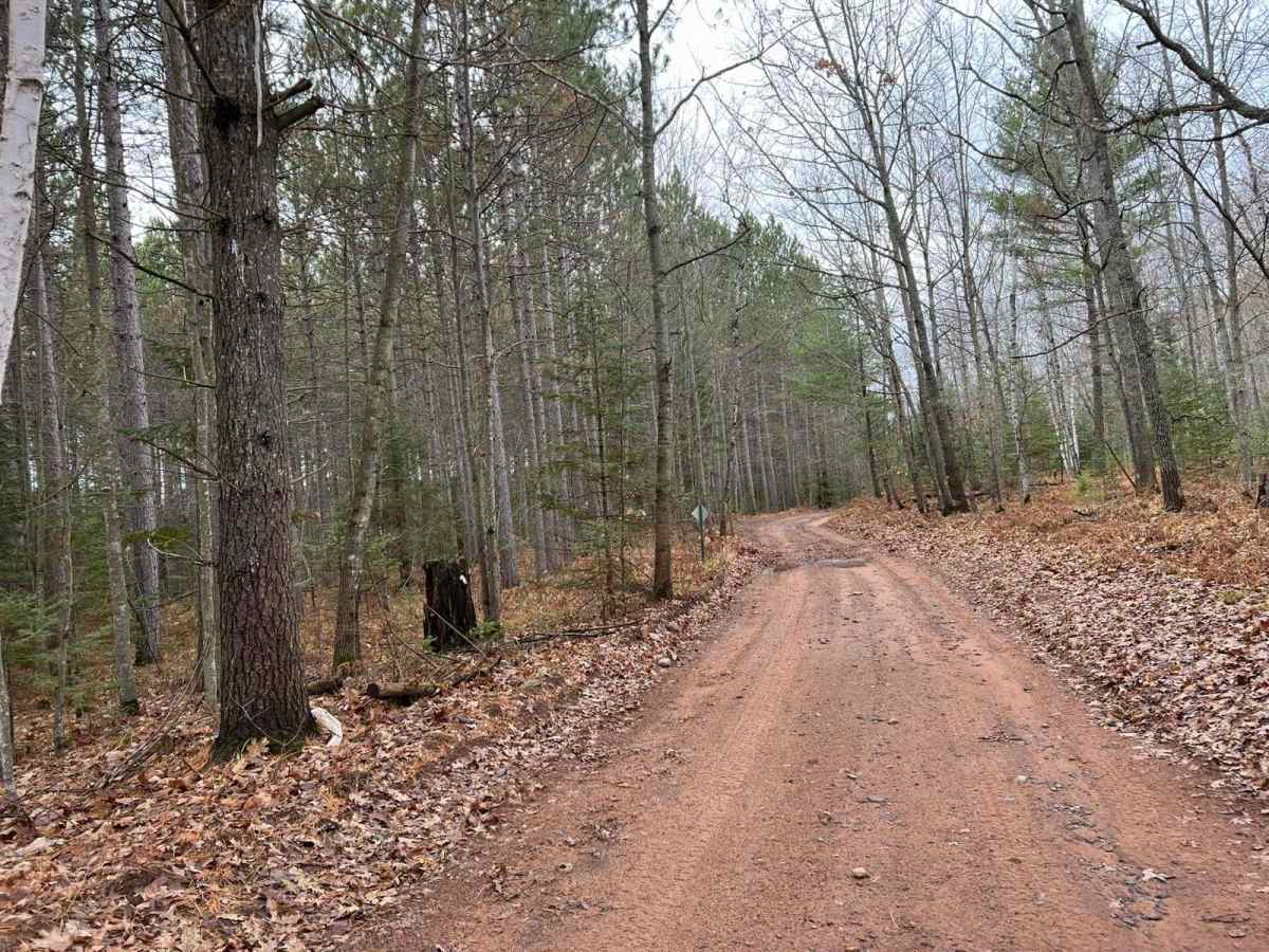 Florence County F6 Mark Peters Memorial Trail photo 3