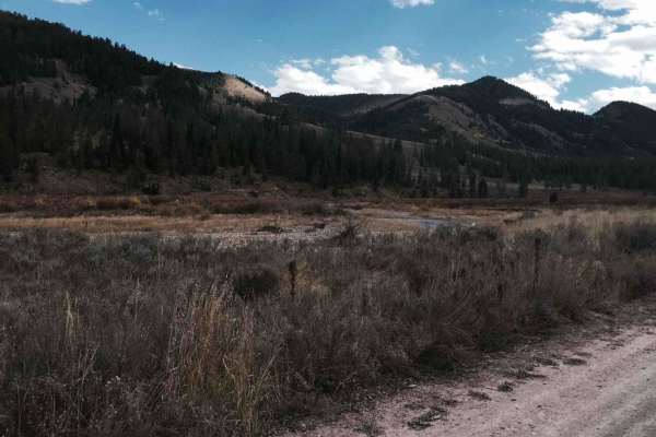 Cliff Creek - 30530