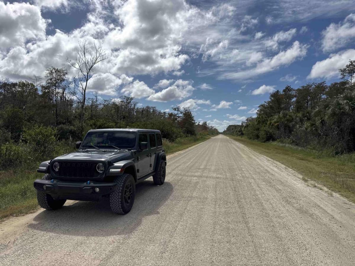 Turner River Road - CR 839 photo 4