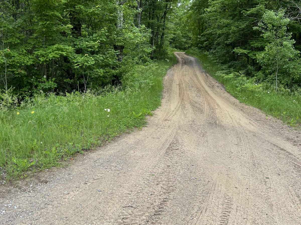 Hill to Granholm trail photo