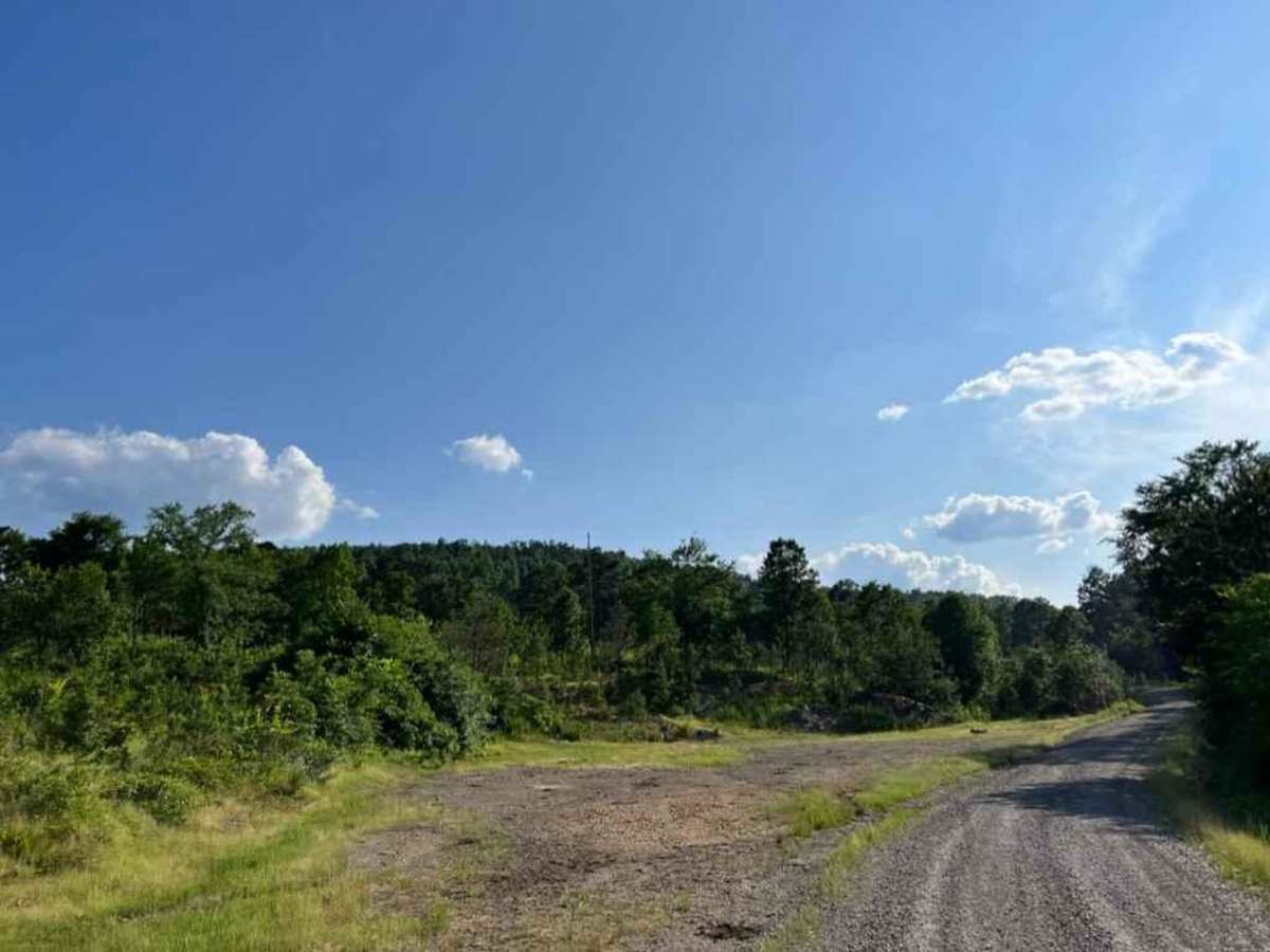 Buffalo Creek Camp photo 3
