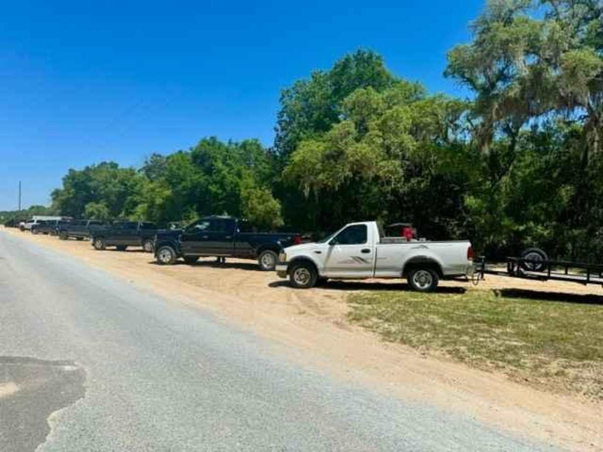 Longleaf Trail trail photo