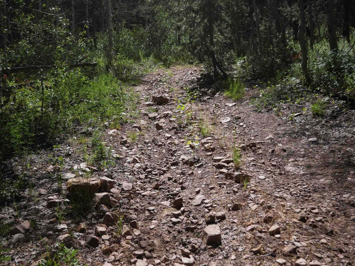Trail Hollow #3368  photo 4