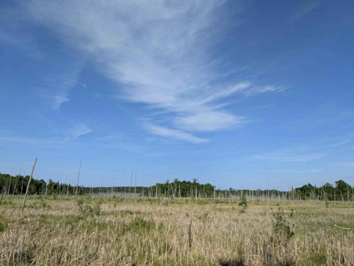 County Road 307 photo 5
