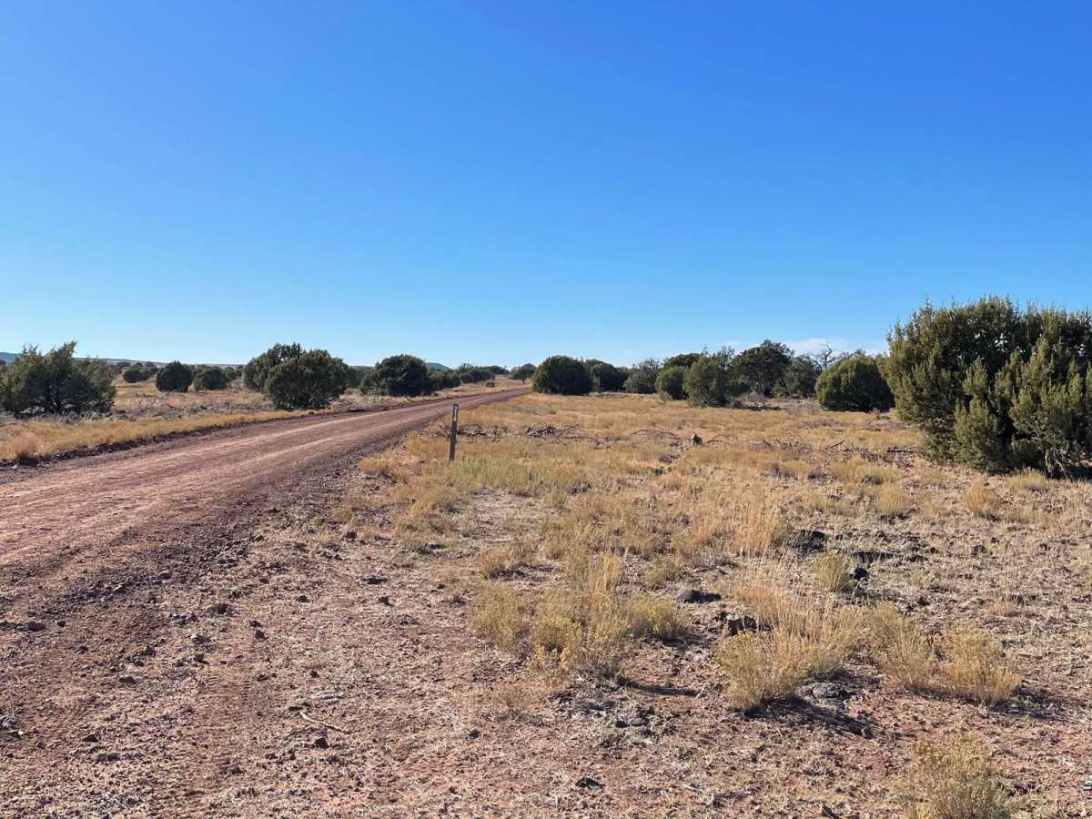 Cedar Flat- West FS 214 photo 6