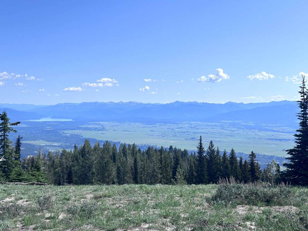 No Business Lookout photo 6