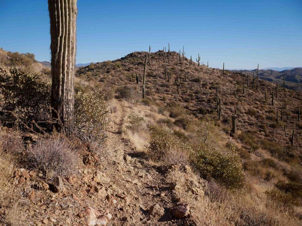 Hieroglyphic Connector trail photo