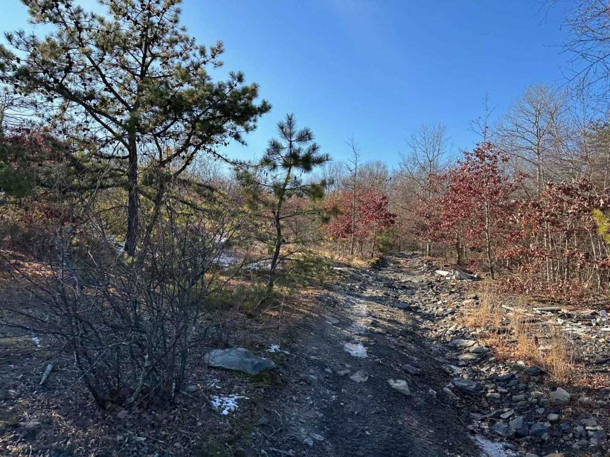 Locust Gap 7 - Northeast photo 4