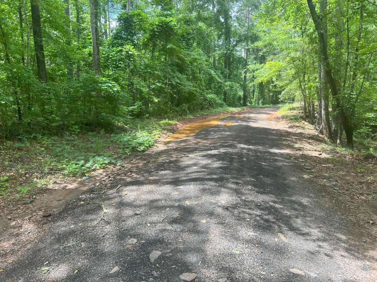South River Road photo 5