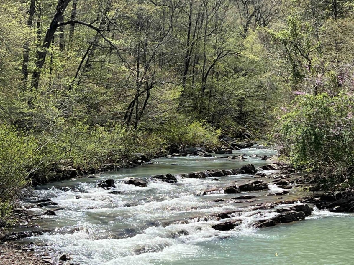 Fanes Creek 1520 photo 4
