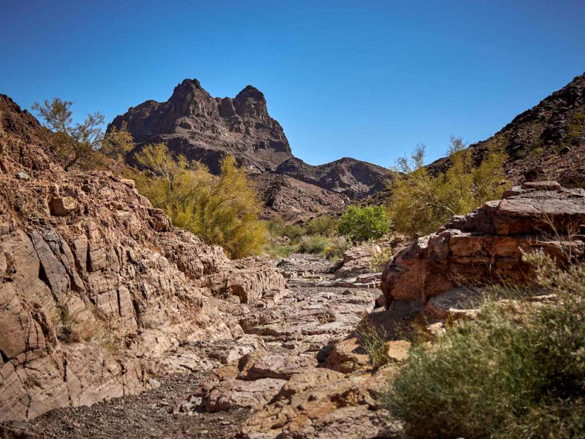 Muggins Mountain Wash photo 6