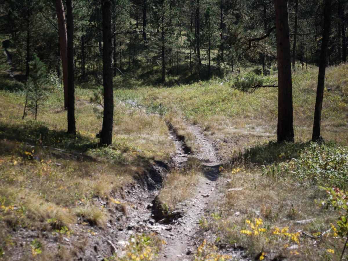 Merritt 6242 photo 2