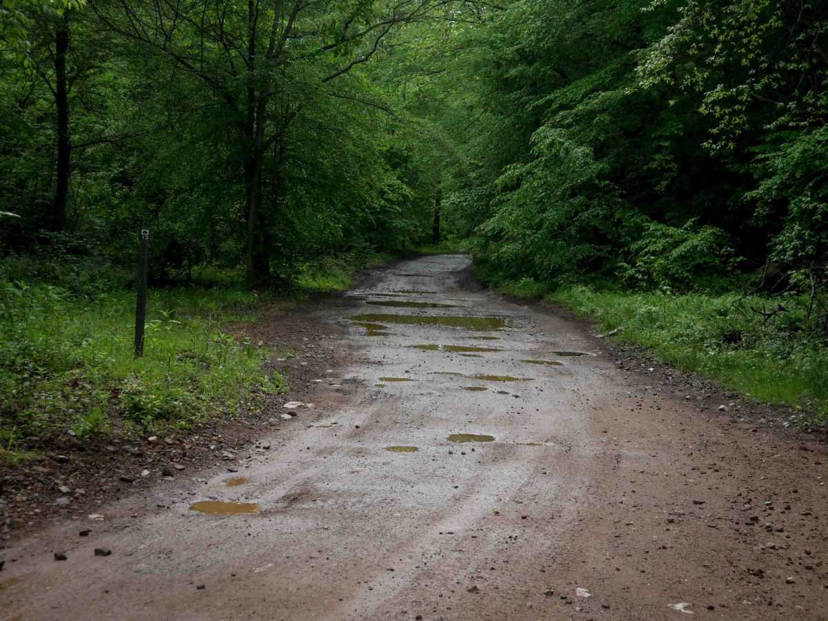 IB 13 photo 6