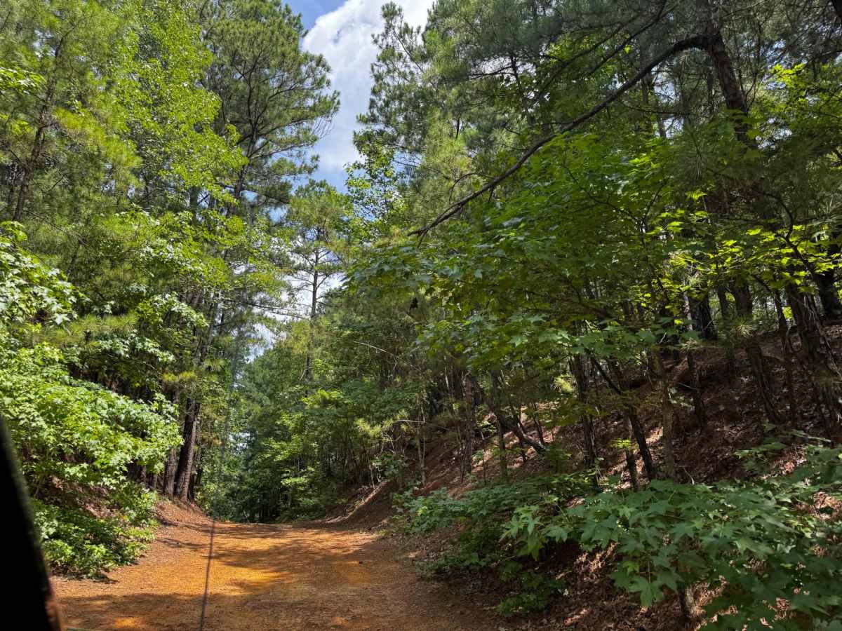Old Camp Road trail photo