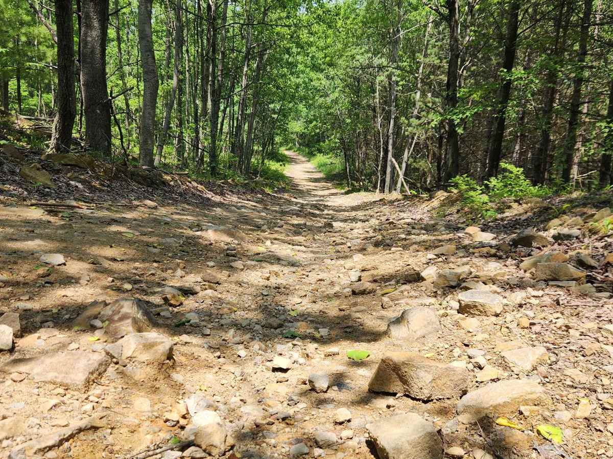 Eastern Flats Road - Rock Run Recreation photo 4