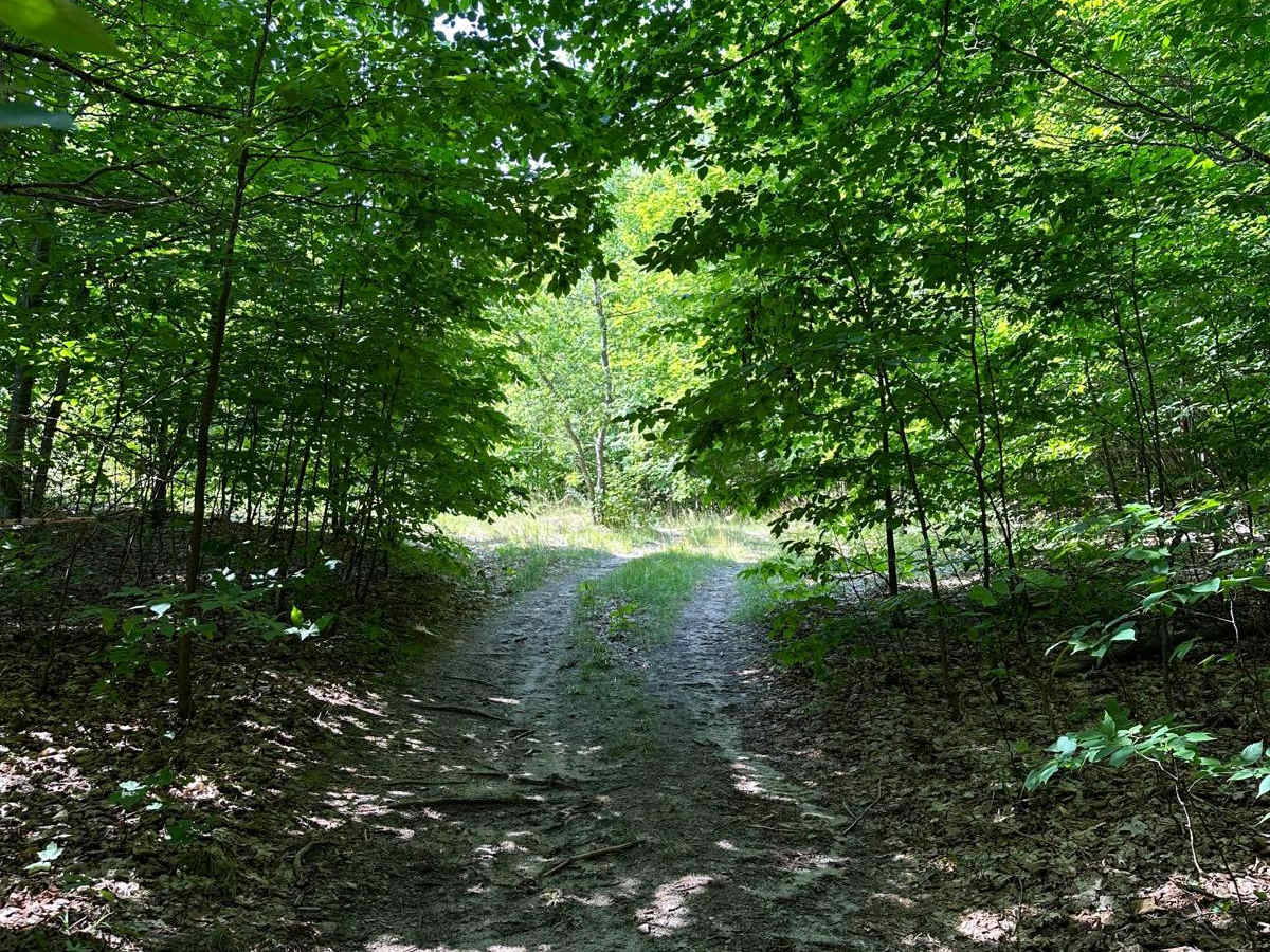 Beeman Road Spur photo 5