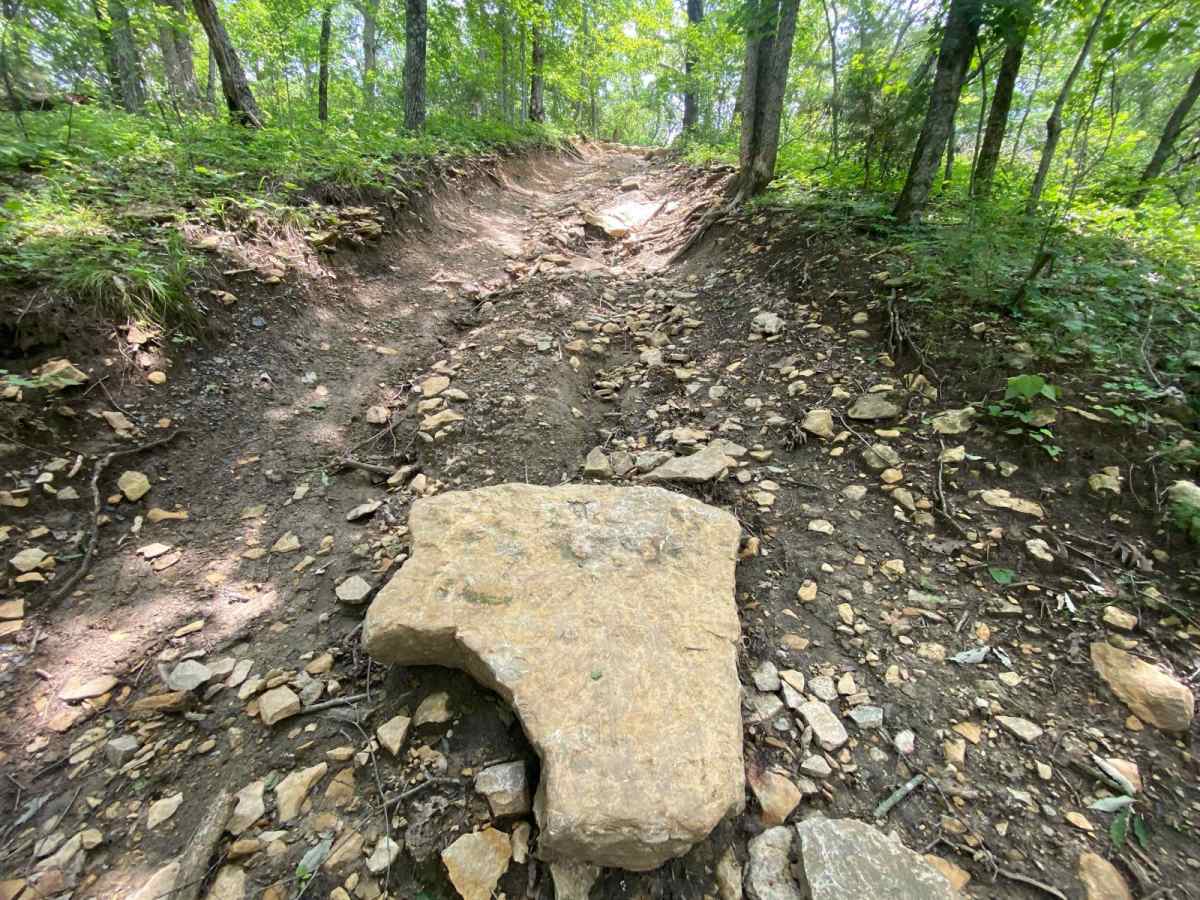 Buckin Chute photo 3