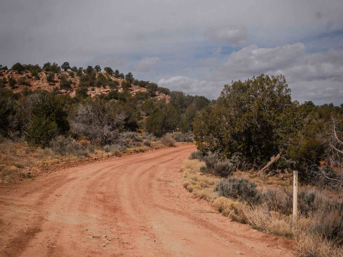 274 Shumway Mines Road photo 3