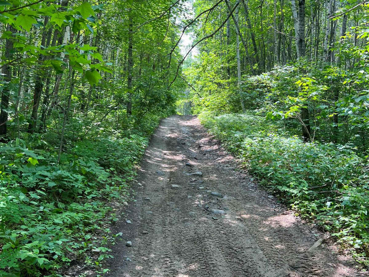 Akeley Cutoff Road SW Connector photo 4