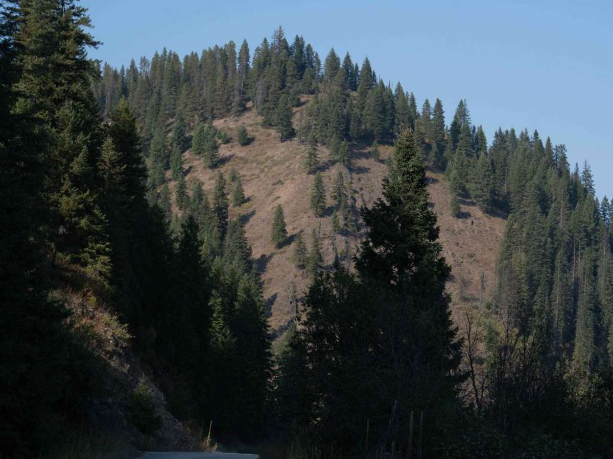 Teepee Creek -6310 photo 2