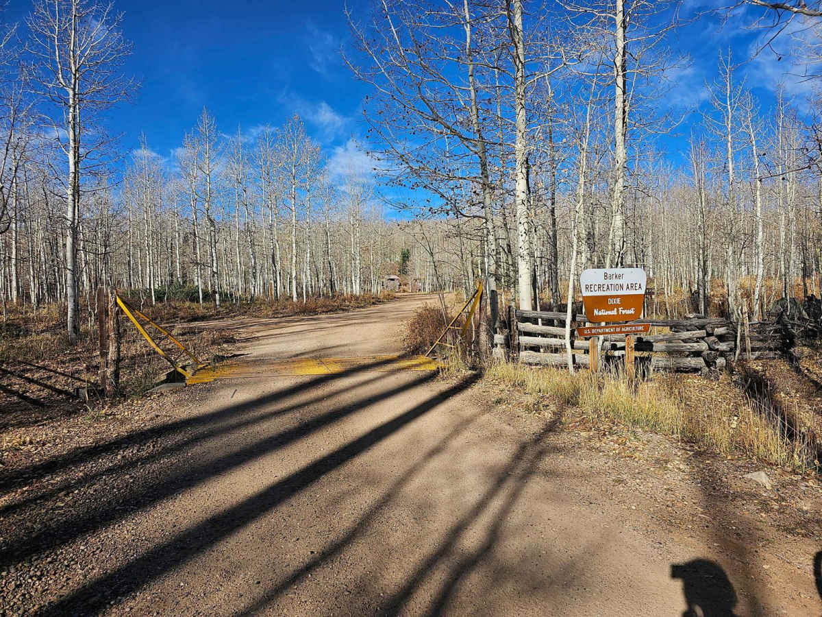 North Creek Road trail photo