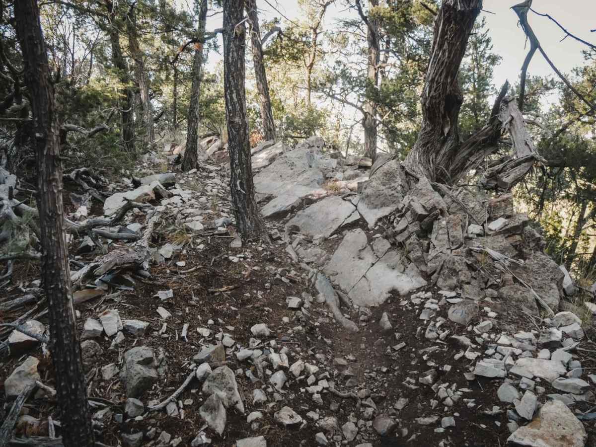 Bear Scat trail photo