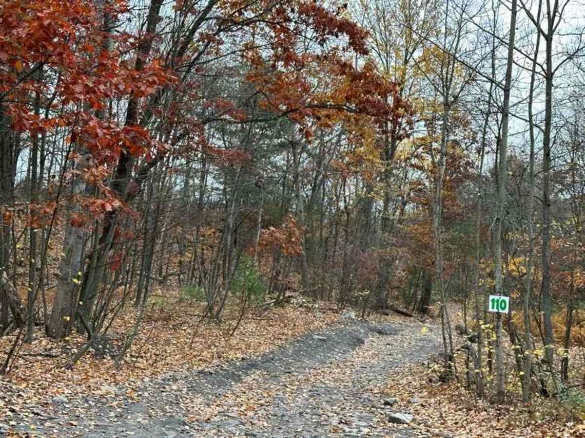 110C trail photo