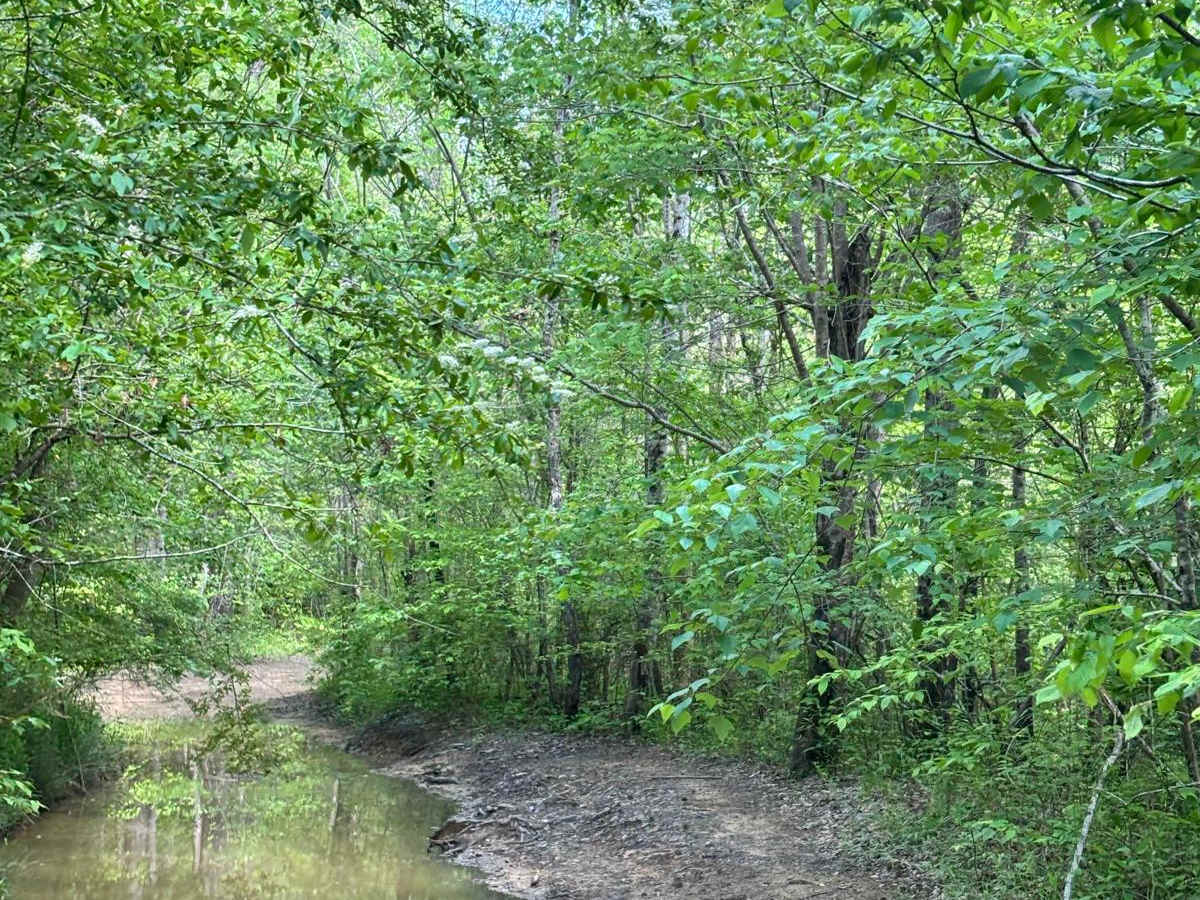 401 Mud photo 4