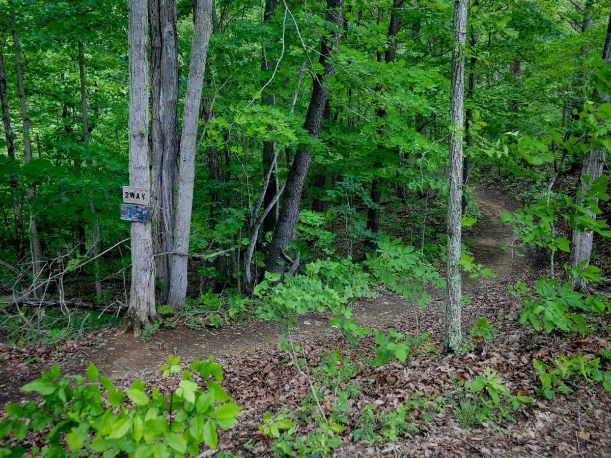 Trail 14 trail photo