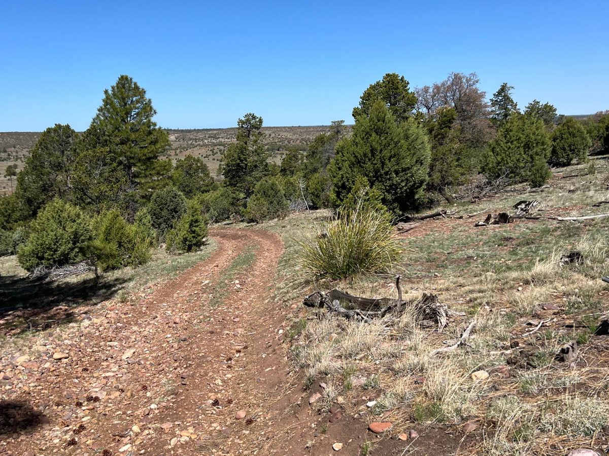 General Crook Trail photo 5